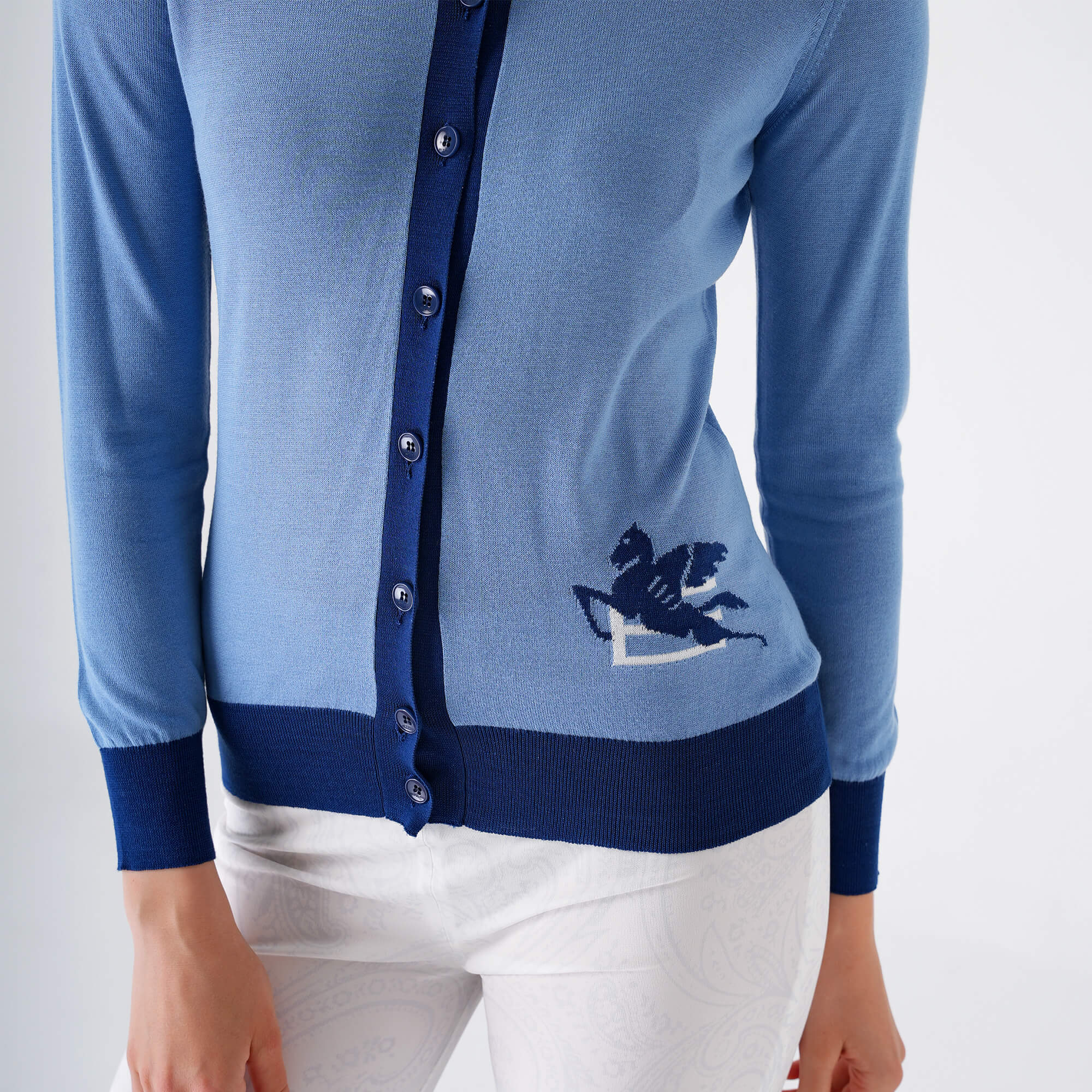 Etro - Blue & Navy Blue Icon Thin Cardigan